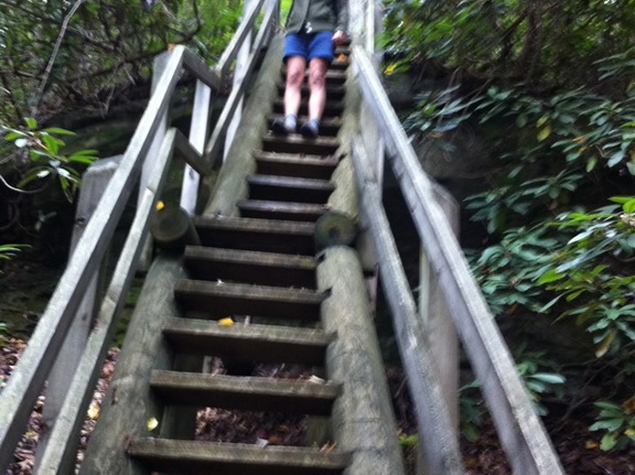 Kentucky Trail, Big South Fork